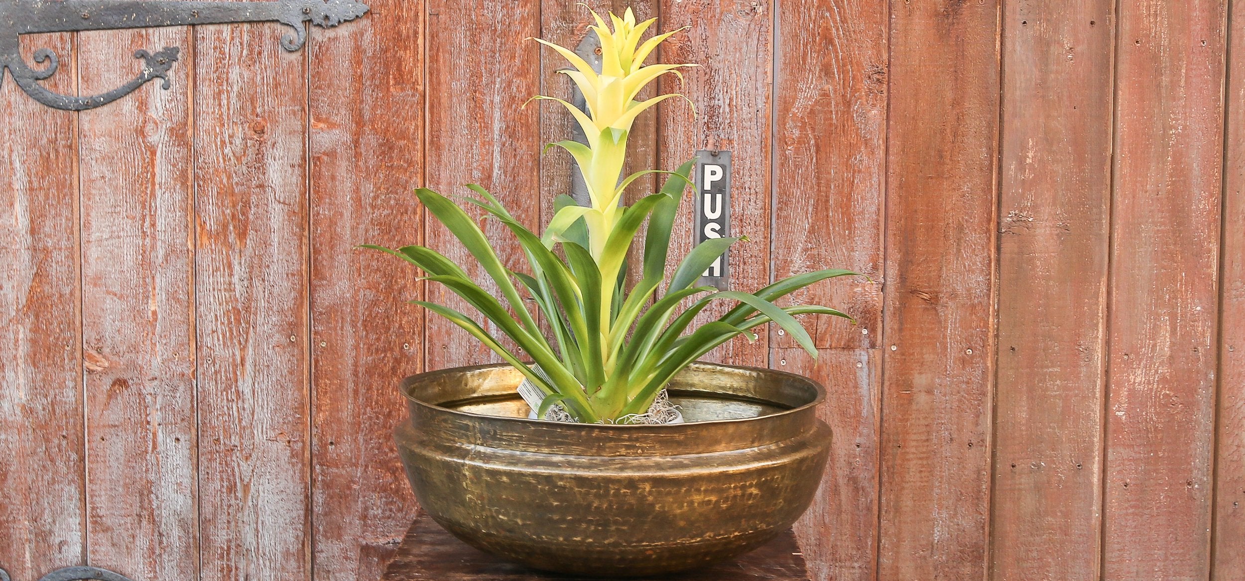 Ceremonial Hand Hammered Metal Bowl