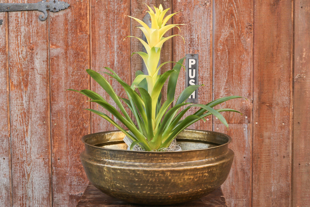 Ceremonial Hand Hammered Metal Bowl