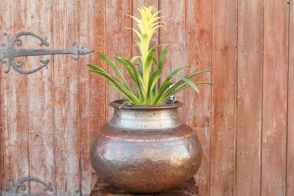 Rajasthani Lota Water Pot
