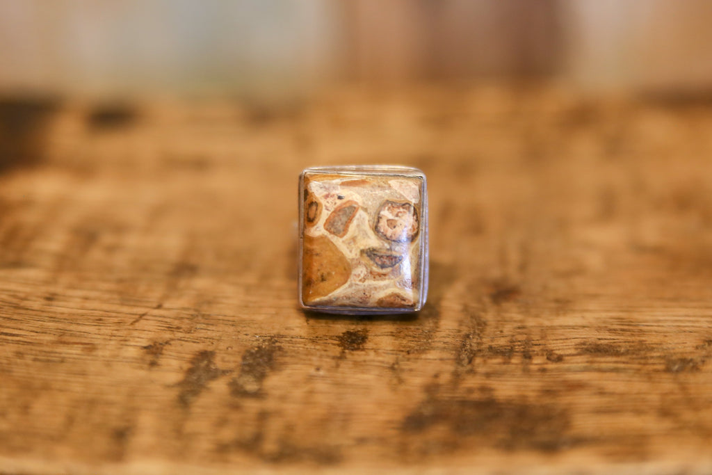 Captivating Picture Jasper Ring