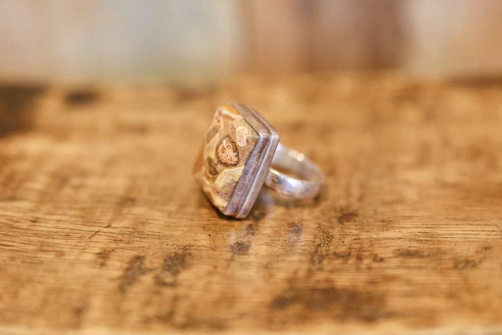 Captivating Picture Jasper Ring