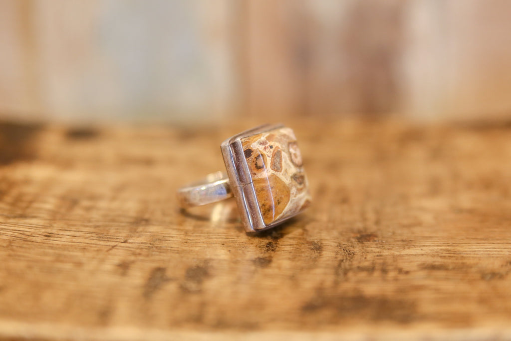 Captivating Picture Jasper Ring