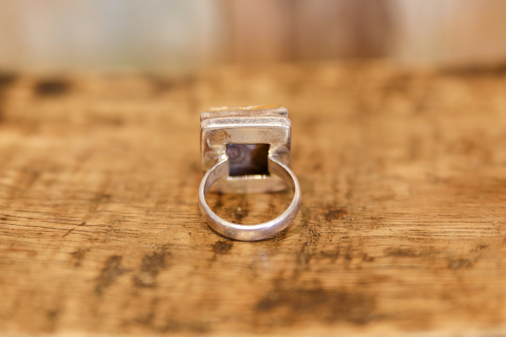Captivating Picture Jasper Ring