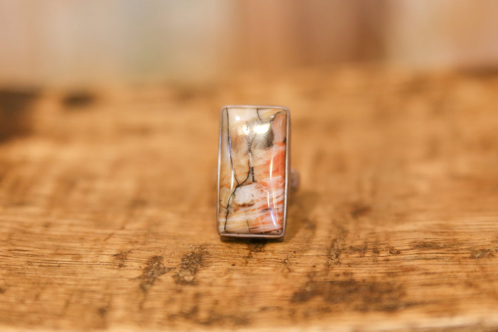 Stunning Picture Jasper Ring