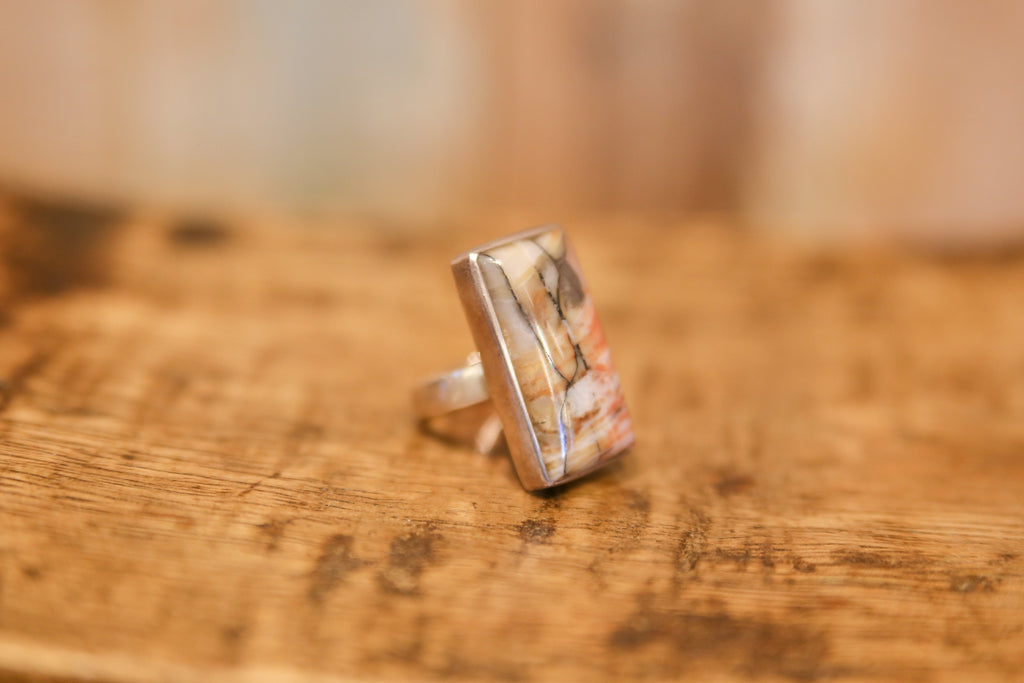 Stunning Picture Jasper Ring