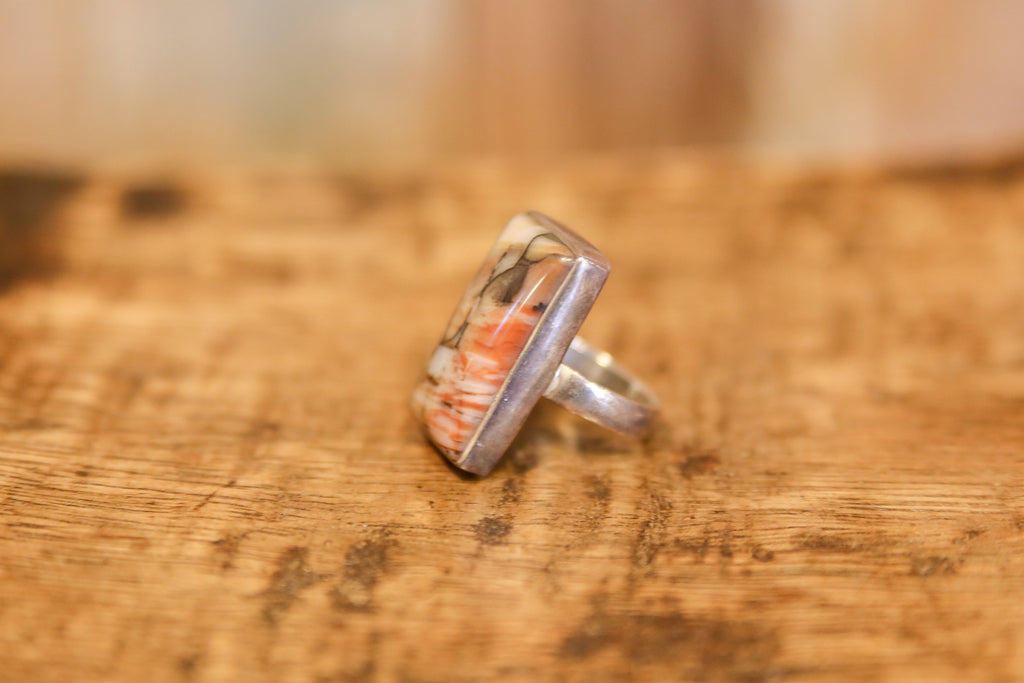 Stunning Picture Jasper Ring