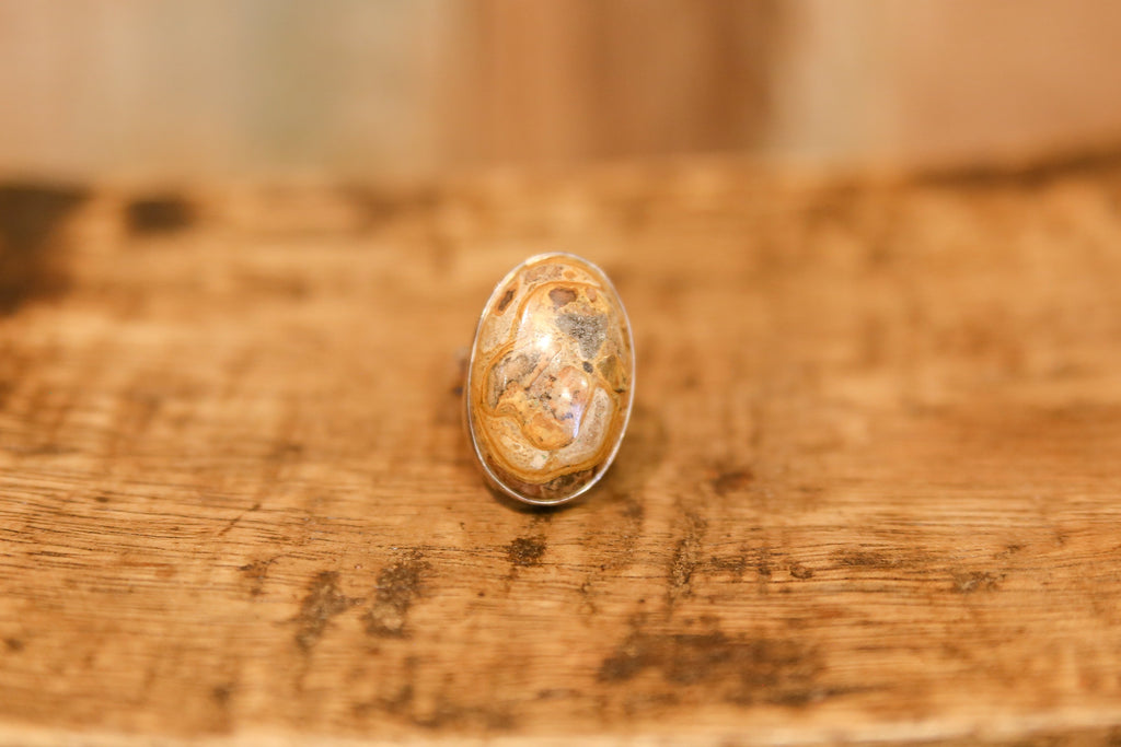 Lovely Picture Jasper Ring