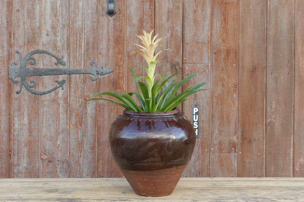 Antique Madras Martaban Jar