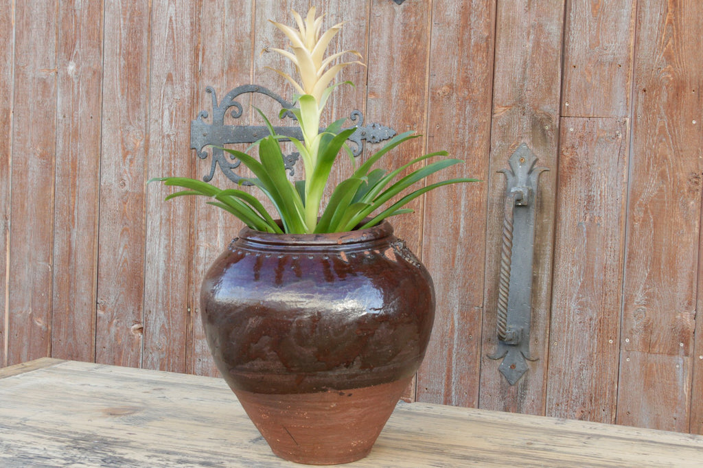 Antique Madras Martaban Jar